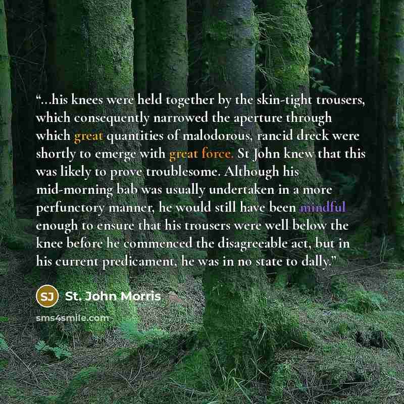 “...his knees were held together by the skin-tight trousers, which consequently narrowed the aperture through which great quantities of malodorous, rancid dreck were shortly to emerge with great force. St John knew that this was likely to prove troublesome. Although his mid-morning bab was usually…” quote by St. John Morris