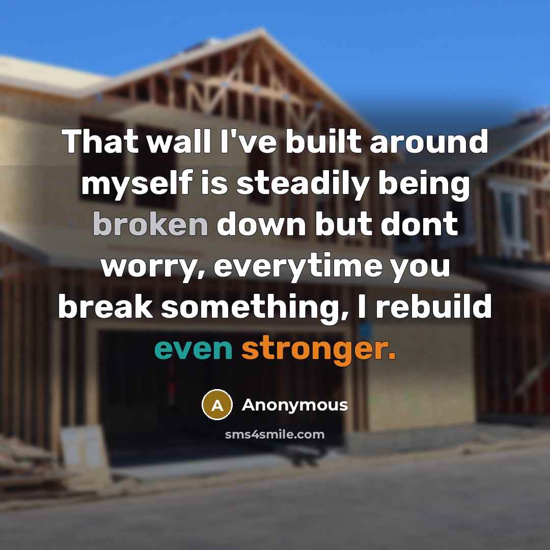 “That wall I've built around myself is steadily being broken down but dont worry, everytime you break something, I rebuild even stronger.” quote by Anonymous