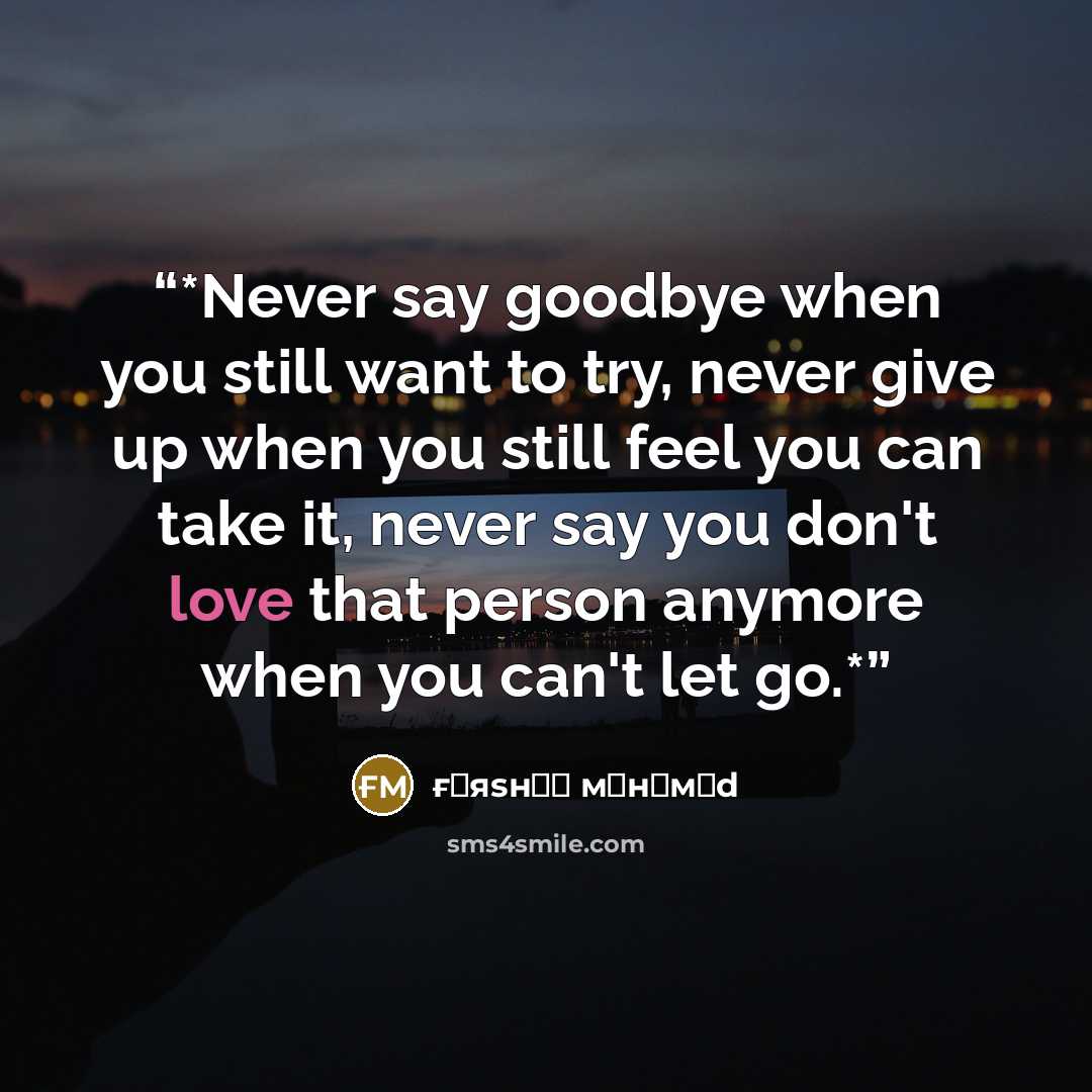 “*Never say goodbye when you still want to try, never give up when you still feel you can take it, never say you don't love that person anymore when you can't let go.*” quote by ғαяsнαη мσнαмεd