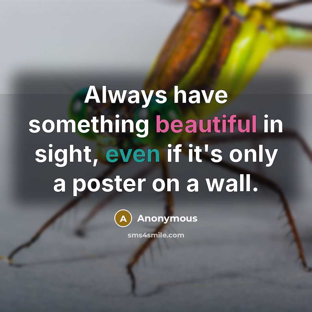 “Always have something beautiful in sight, even if it's only a poster on a wall.” quote by Anonymous