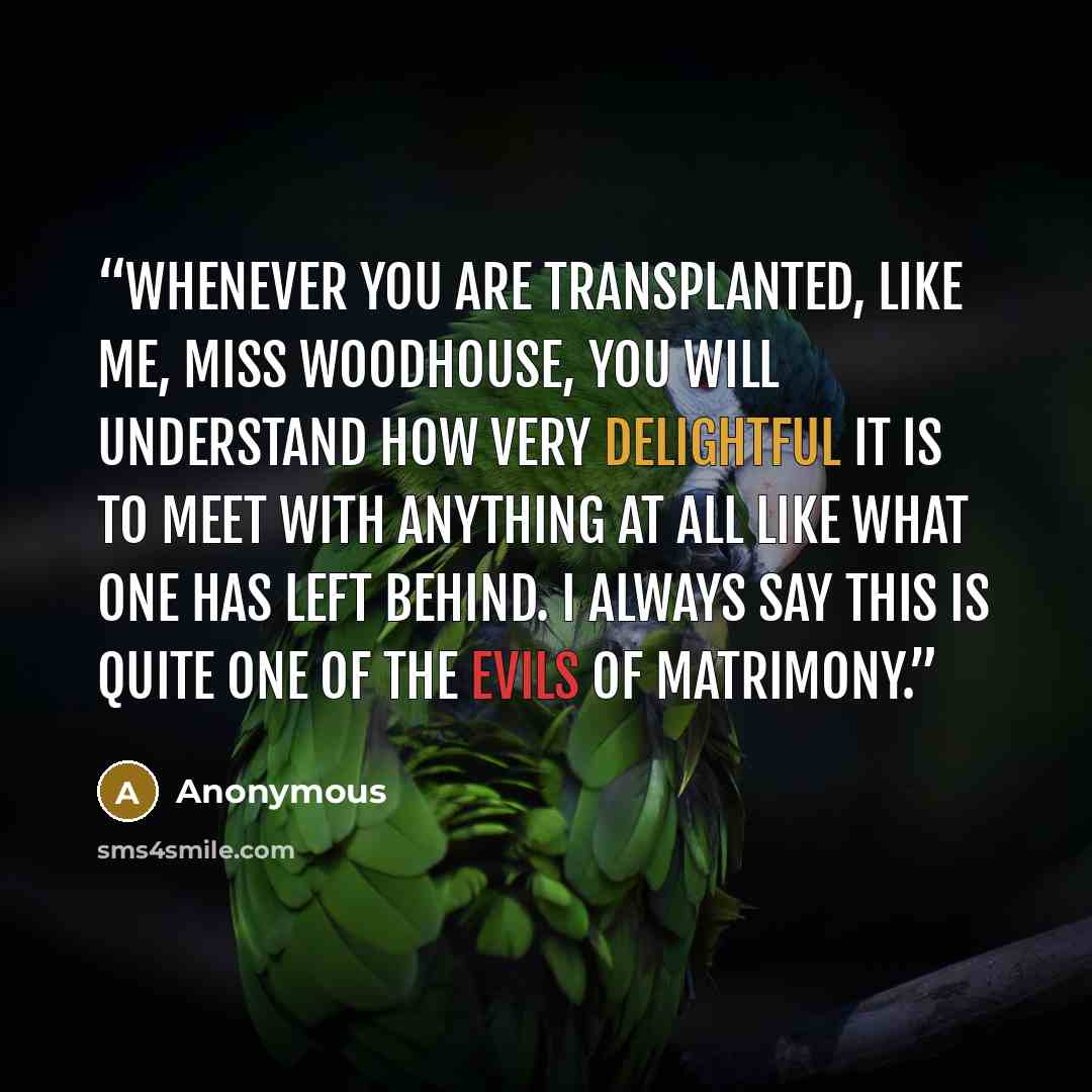 “whenever you are transplanted, like me, Miss Woodhouse, you will understand how very delightful it is to meet with anything at all like what one has left behind. I always say this is quite one of the evils of matrimony.” quote by Anonymous