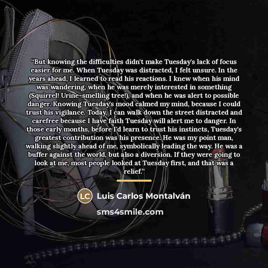 “But knowing the difficulties didn't make Tuesday's lack of focus easier for me. When Tuesday was distracted, I felt unsure. In the years ahead, I learned to read his reactions. I knew when his mind was wandering, when he was merely interested in something (Squirrel! Urine-smelling tree!), and when…” quote by Luis Carlos Montalván
