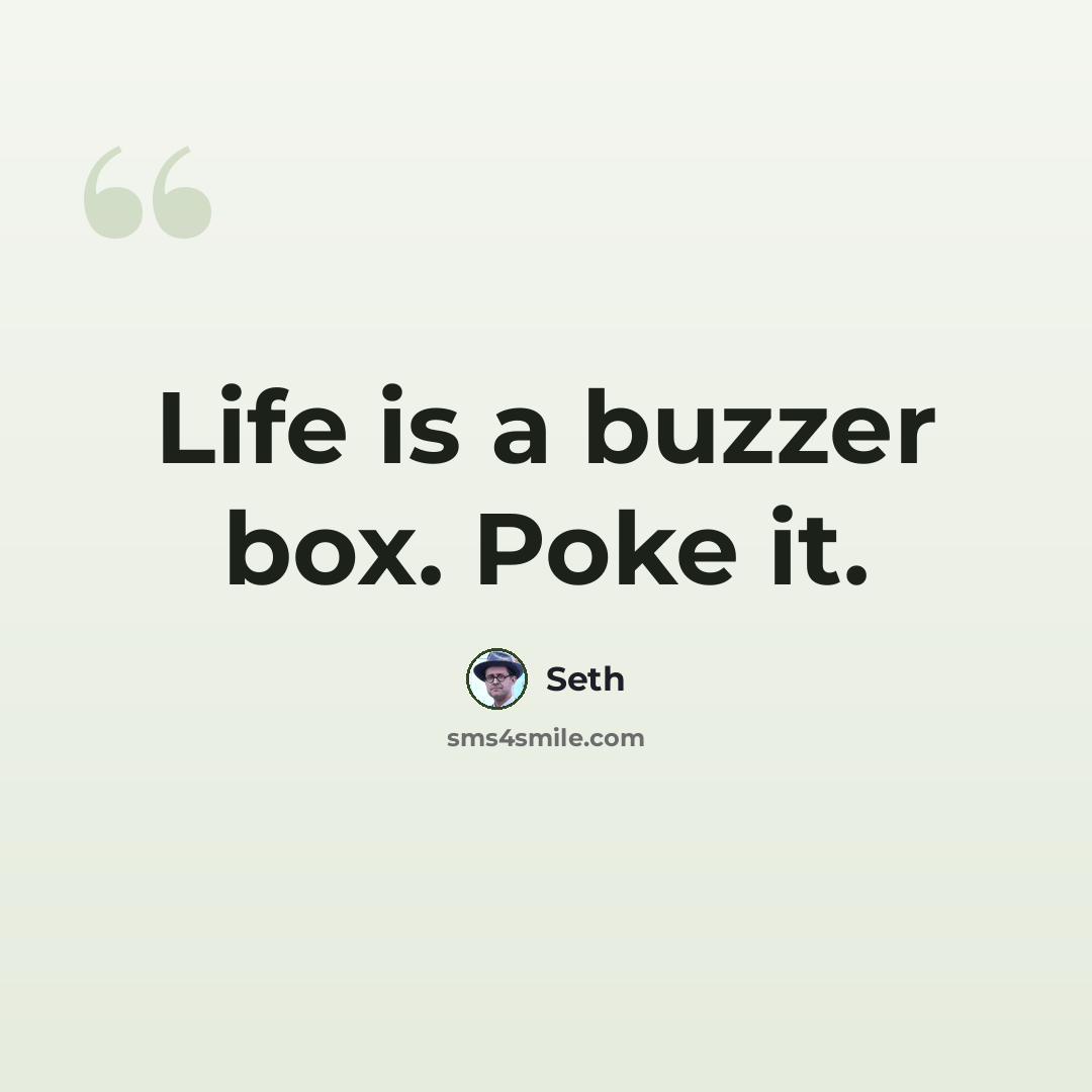 “Life is a buzzer box. Poke it.” quote by Seth