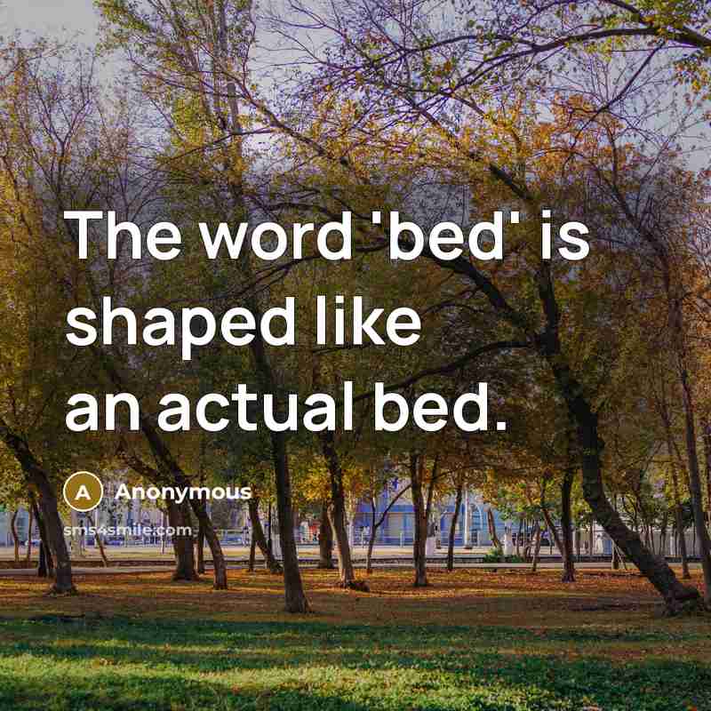 “The word 'bed' is shaped like an actual bed.” quote by Anonymous