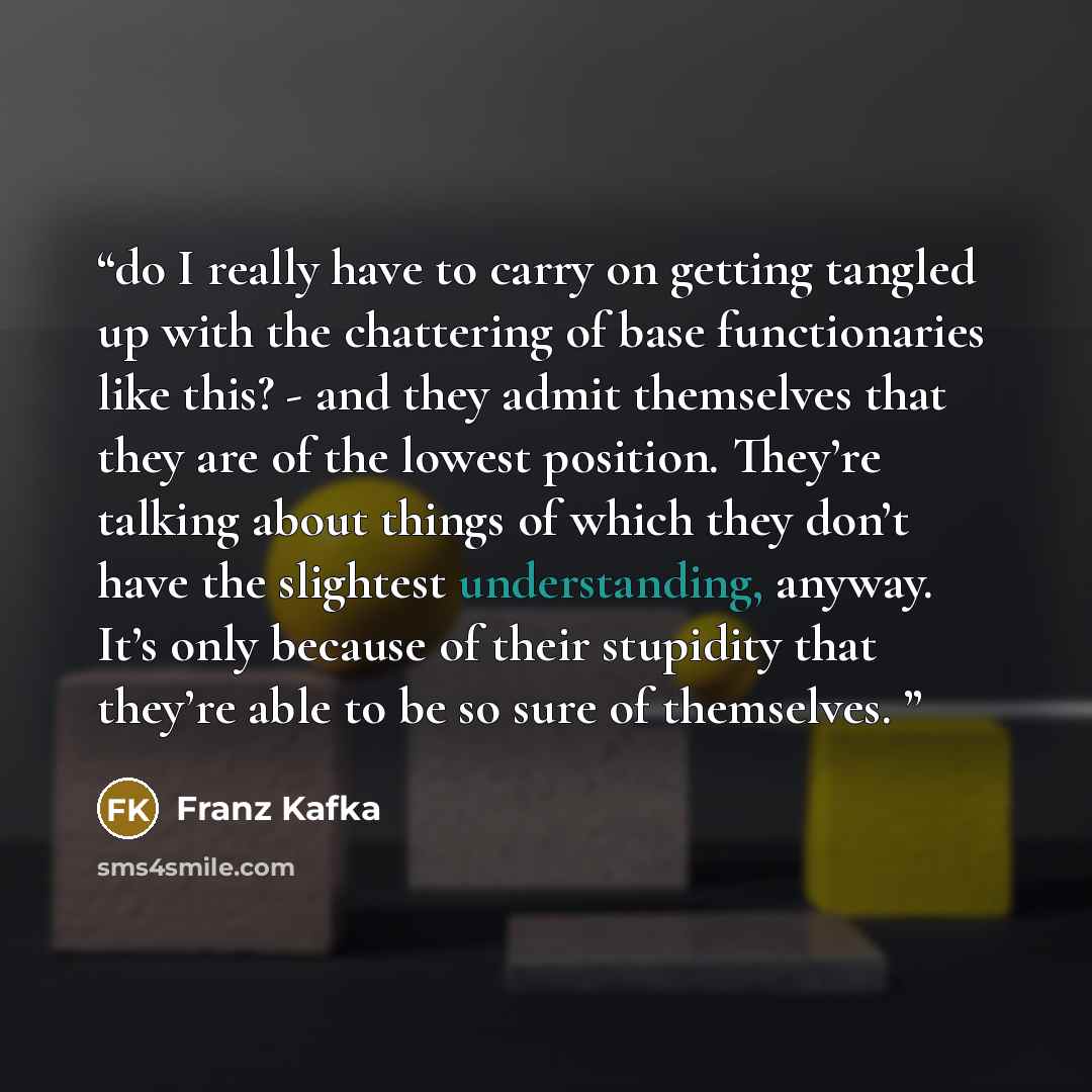 “do I really have to carry on getting tangled up with the chattering of base functionaries like this? - and they admit themselves that they are of the lowest position. They’re talking about things of which they don’t have the slightest understanding, anyway. It’s only because of their stupidity…” quote by Franz Kafka