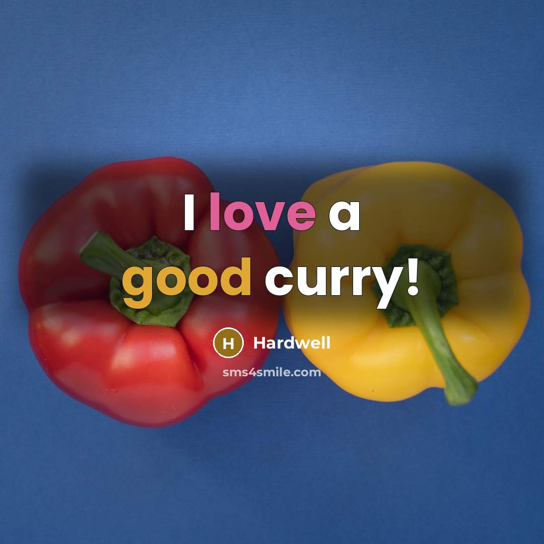 “I love a good curry!” quote by Hardwell