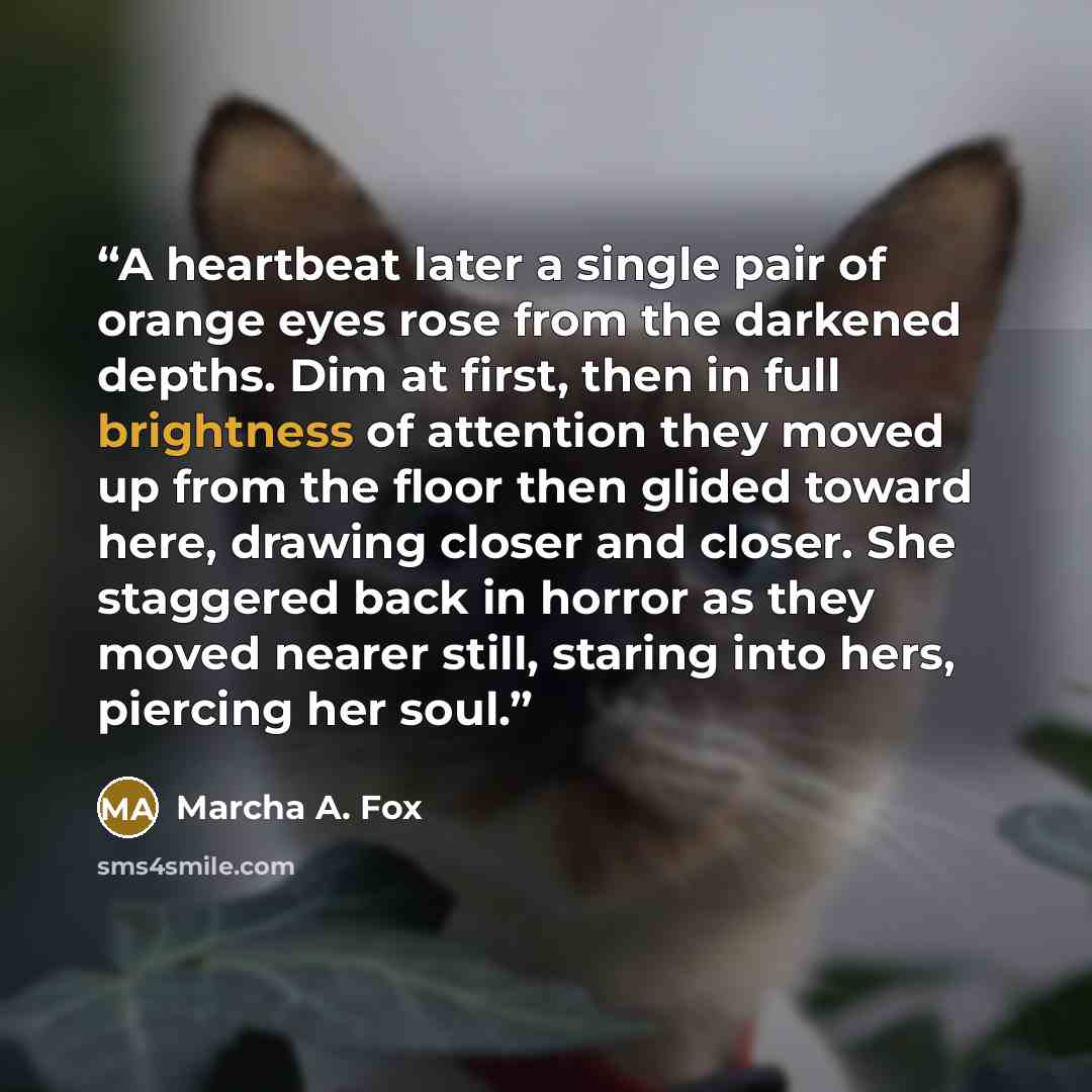 “A heartbeat later a single pair of orange eyes rose from the darkened depths. Dim at first, then in full brightness of attention they moved up from the floor then glided toward here, drawing closer and closer. She staggered back in horror as they moved nearer still, staring into hers, piercing her…” quote by Marcha A. Fox