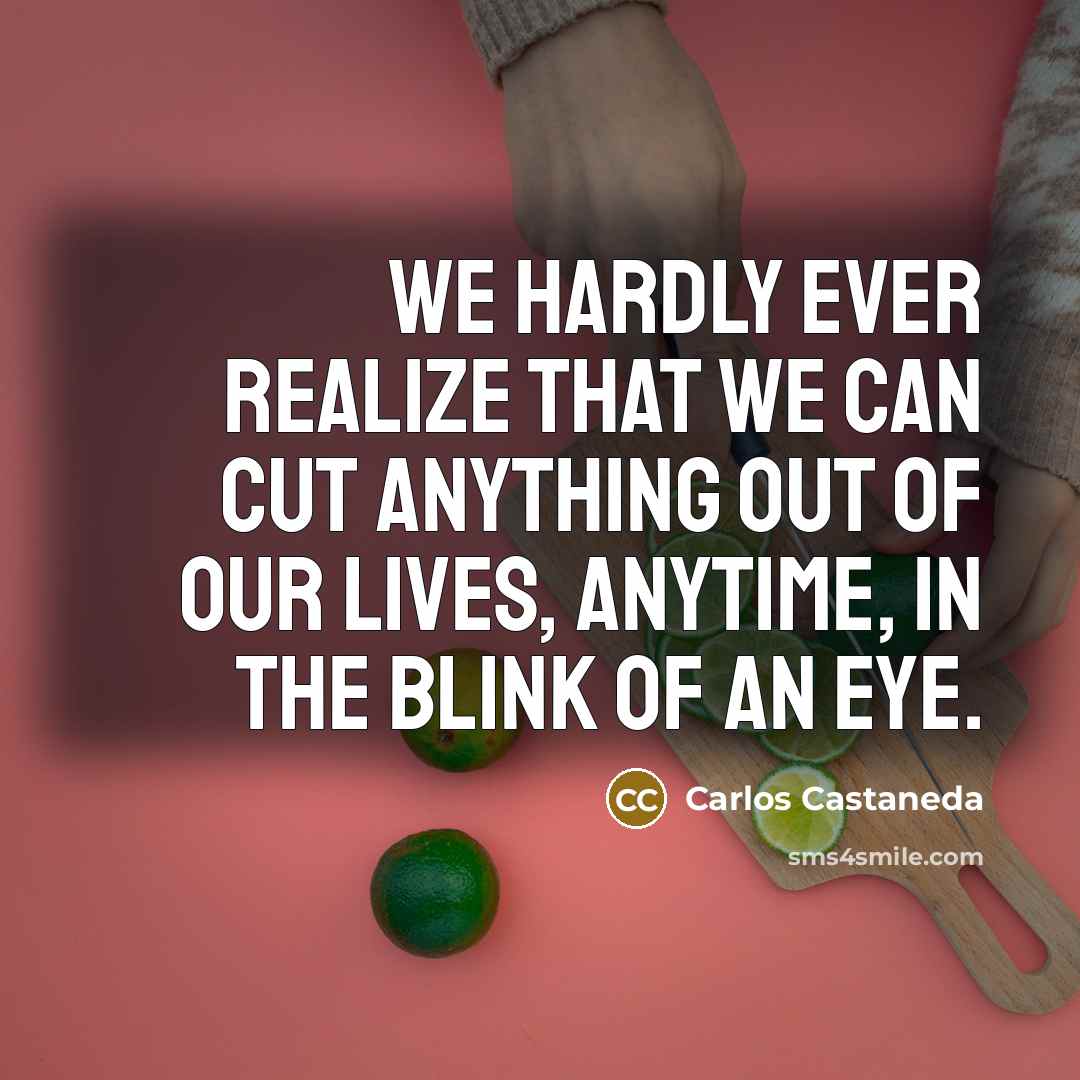 “We hardly ever realize that we can cut anything out of our lives, anytime, in the blink of an eye.” quote by Carlos Castaneda