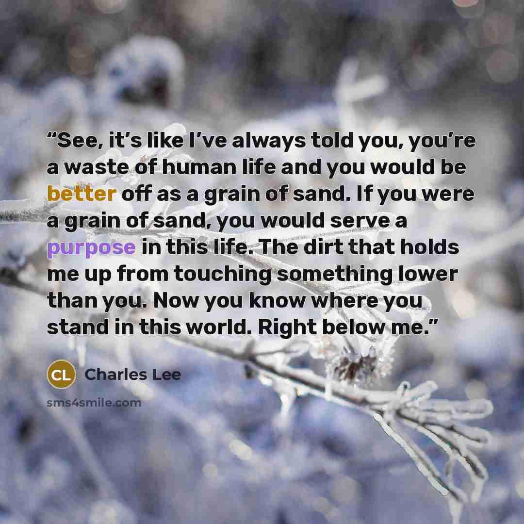 “See, it’s like I’ve always told you, you’re a waste of human life and you would be better off as a grain of sand. If you were a grain of sand, you would serve a purpose in this life. The dirt that holds me up from touching something lower than you. Now you know where you stand in this world. Right…” quote by Charles Lee