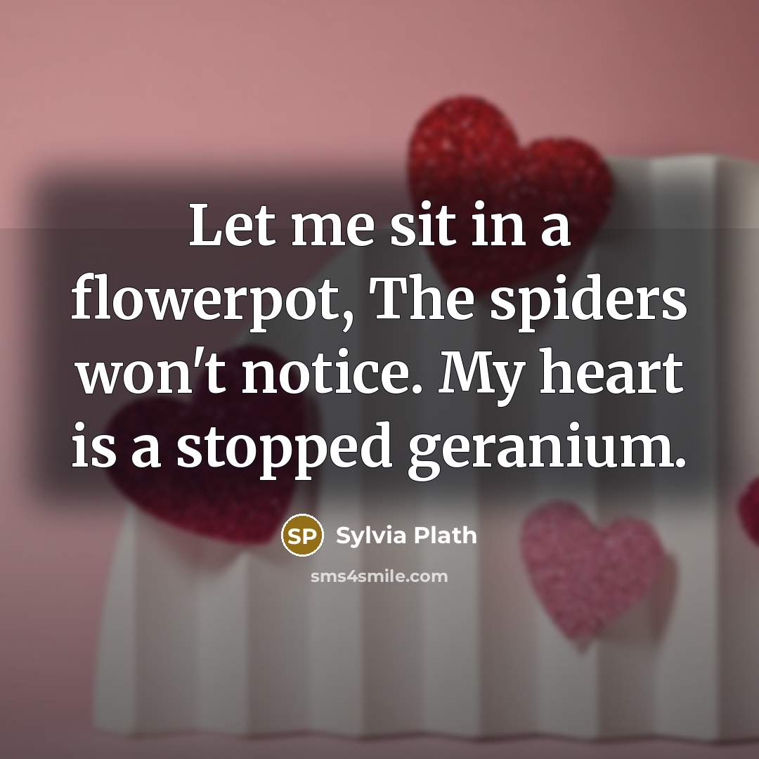 “Let me sit in a flowerpot, The spiders won't notice. My heart is a stopped geranium.” quote by Sylvia Plath