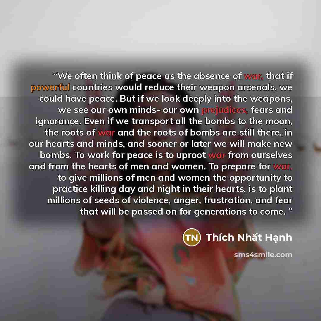 “We often think of peace as the absence of war, that if powerful countries would reduce their weapon arsenals, we could have peace. But if we look deeply into the weapons, we see our own minds- our own prejudices, fears and ignorance. Even if we transport all the bombs to the moon, the roots of war…” quote by Thich Nhat Hanh