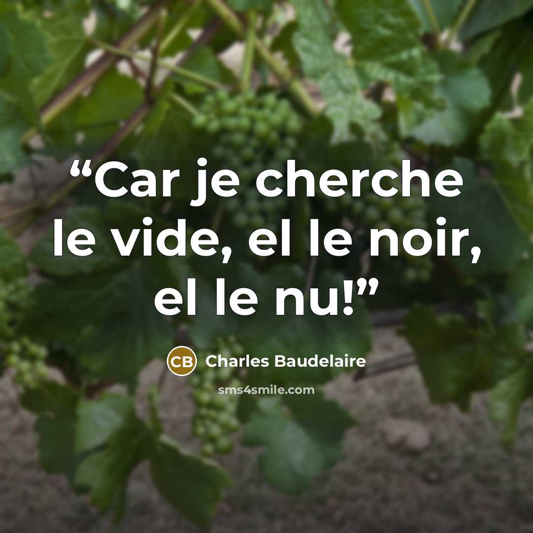 “Car je cherche le vide, el le noir, el le nu!” quote by Charles Baudelaire