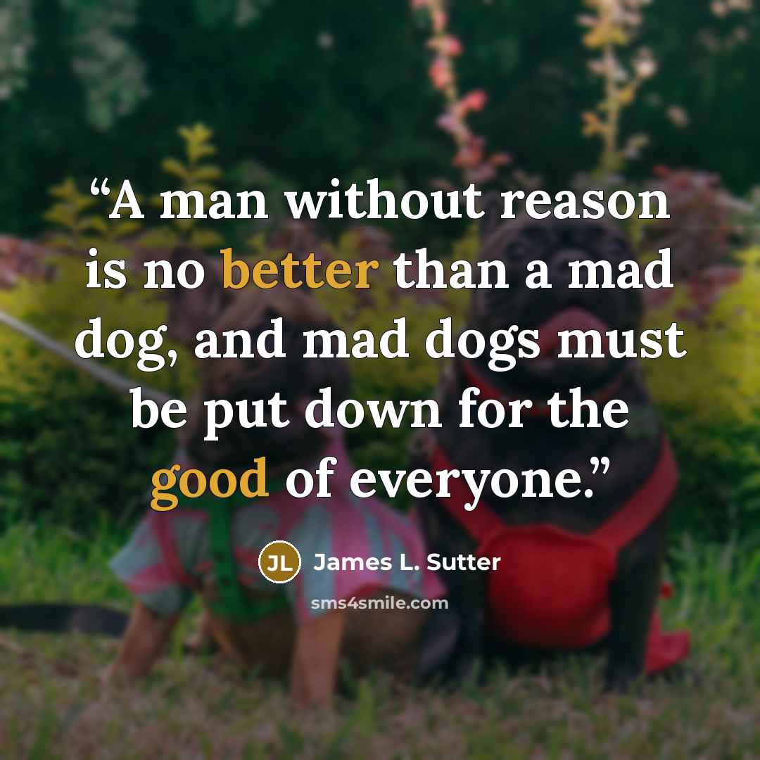 “A man without reason is no better than a mad dog, and mad dogs must be put down for the good of everyone.” quote by James L. Sutter