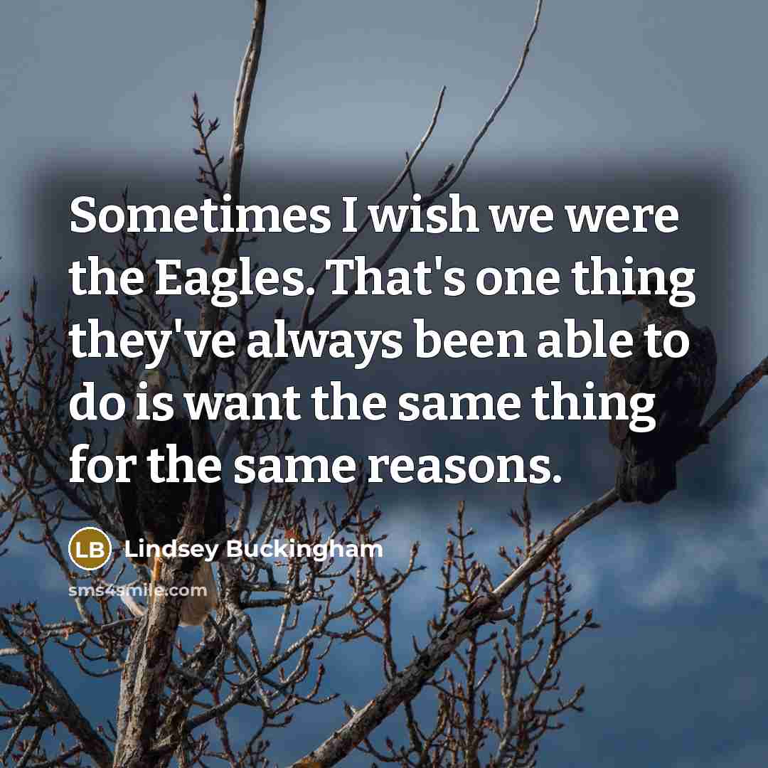 “Sometimes I wish we were the Eagles. That's one thing they've always been able to do is want the same thing for the same reasons.” quote by Lindsey Buckingham