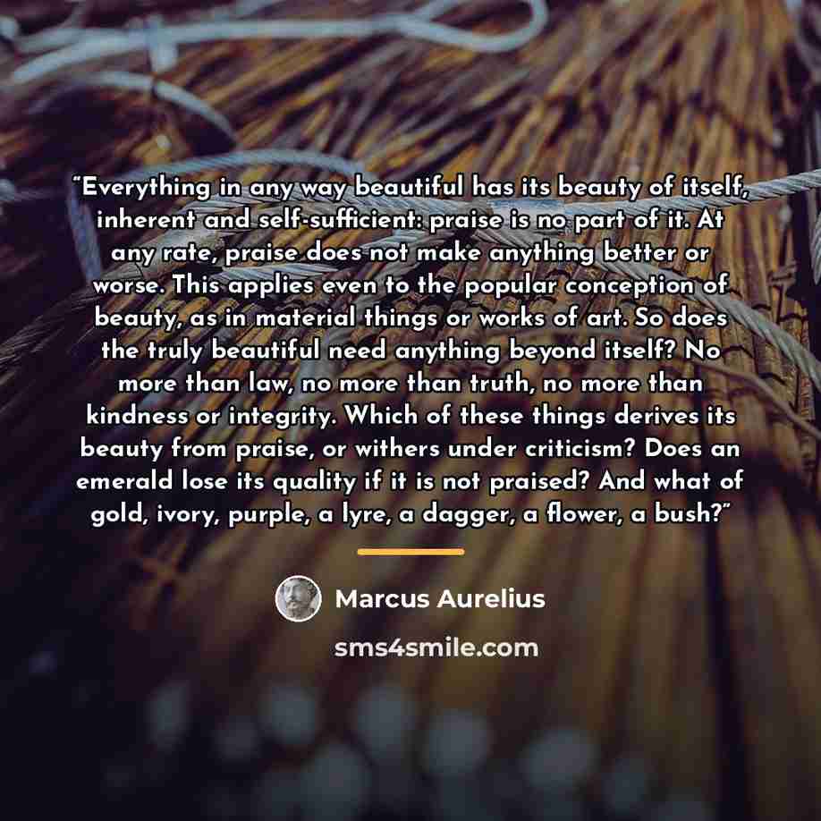 “Everything in any way beautiful has its beauty of itself, inherent and self-sufficient: praise is no part of it. At any rate, praise does not make anything better or worse. This applies even to the popular conception of beauty, as in material things or works of art. So does the truly beautiful…” quote by Marcus Aurelius