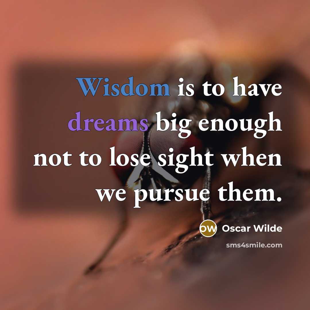 “Wisdom is to have dreams big enough not to lose sight when we pursue them.” quote by Oscar Wilde