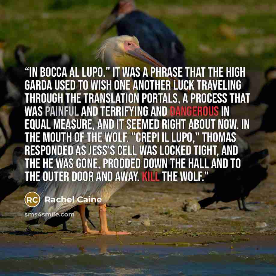 “In bocca al lupo." It was a phrase that the High Garda used to wish one another luck traveling through the Translation portals, a process that was painful and terrifying and dangerous in equal measure, and it seemed right about now. In the mouth of the wolf. "Crepi il lupo," thomas responded as…” quote by Rachel Caine