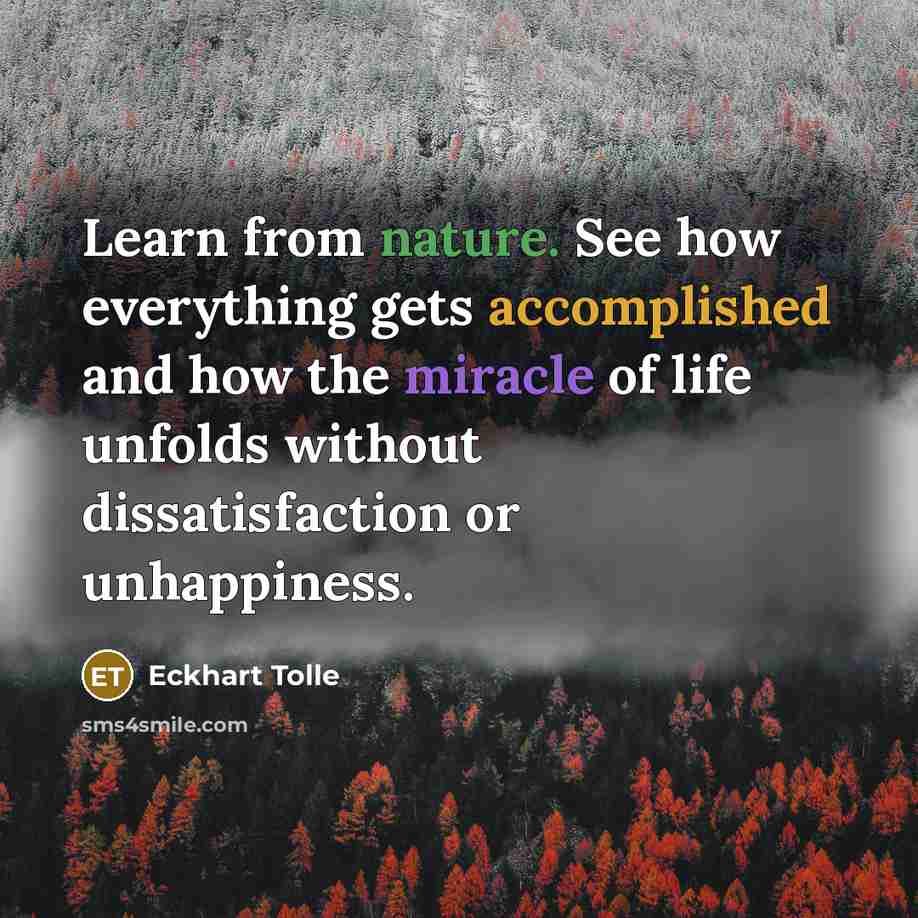 “Learn from nature. See how everything gets accomplished and how the miracle of life unfolds without dissatisfaction or unhappiness.” quote by Eckhart Tolle