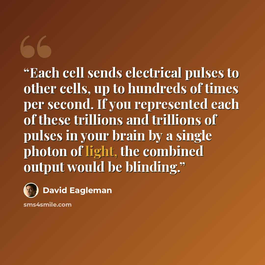 “Each cell sends electrical pulses to other cells, up to hundreds of times per second. If you represented each of these trillions and trillions of pulses in your brain by a single photon of light, the combined output would be blinding.” quote by David Eagleman