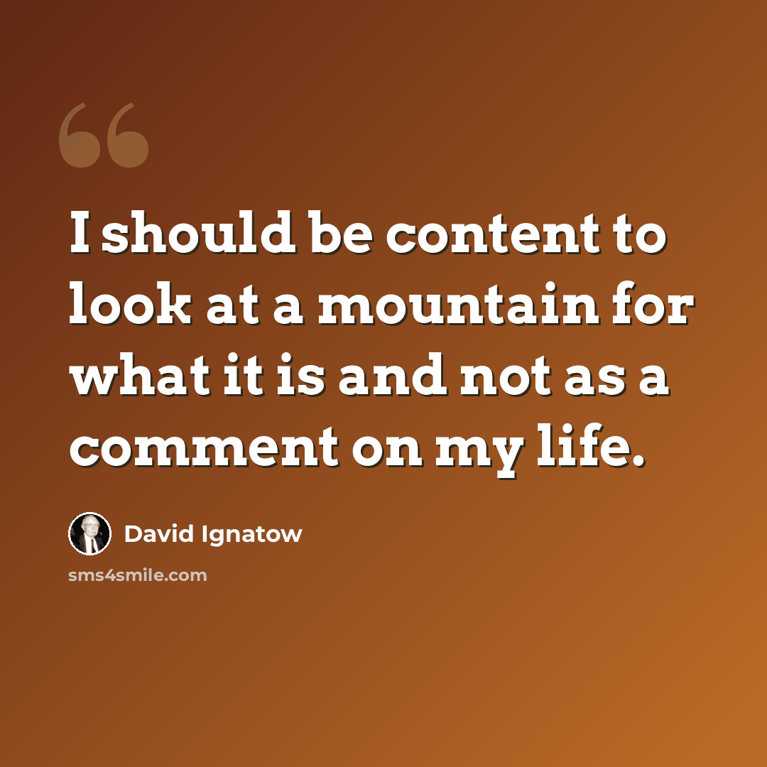 “I should be content to look at a mountain for what it is and not as a comment on my life.” quote by David Ignatow
