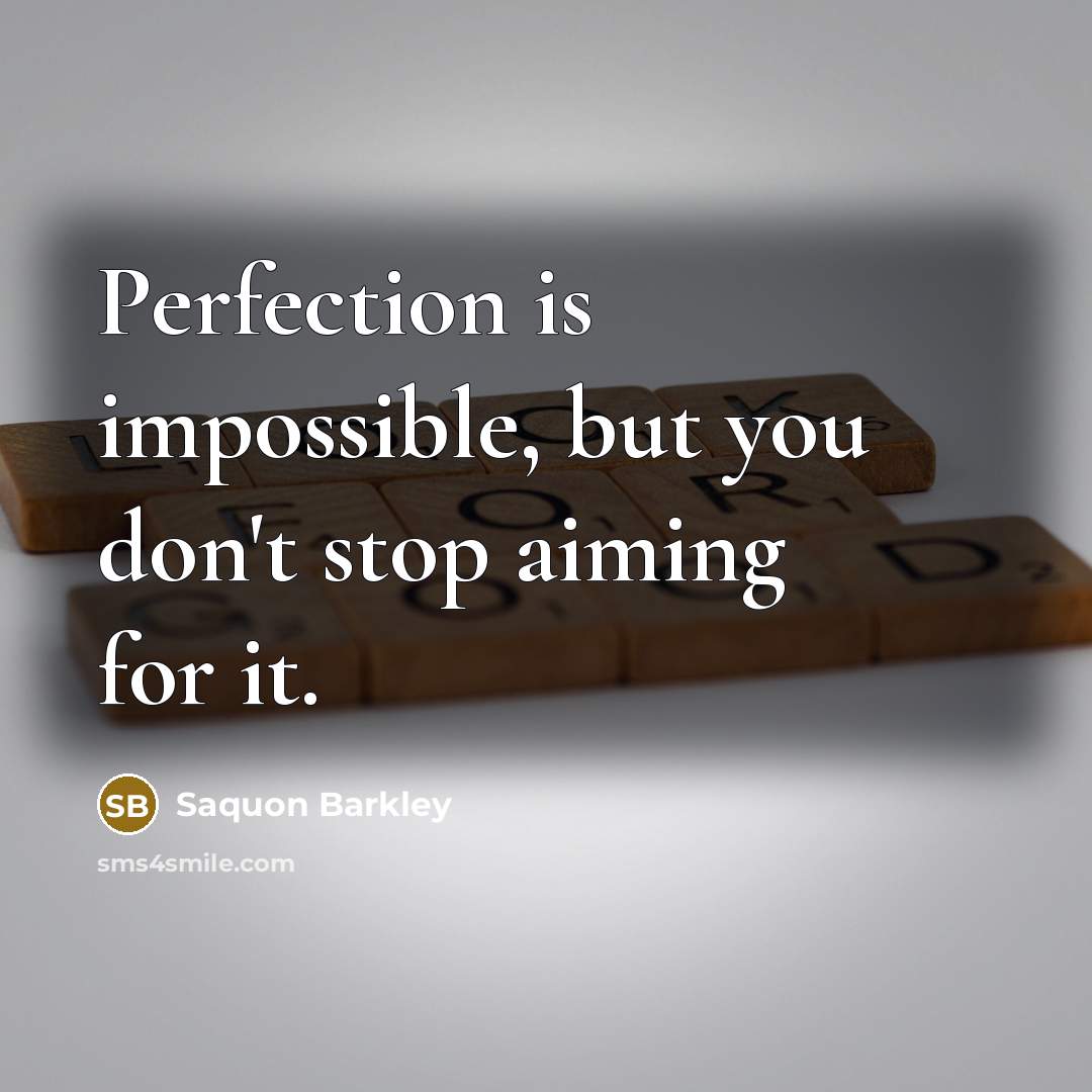 “Perfection is impossible, but you don't stop aiming for it.” quote by Saquon Barkley