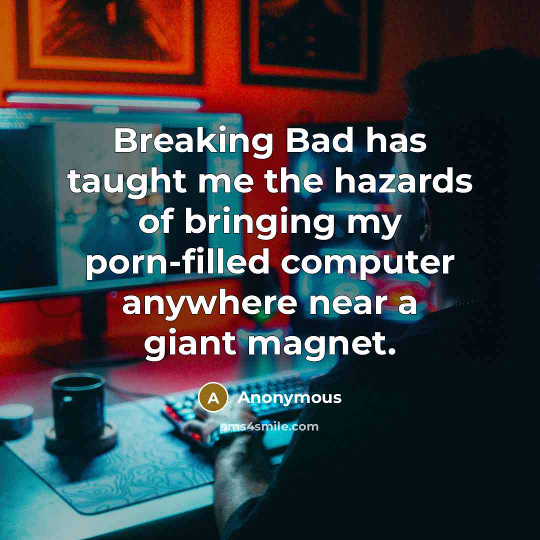 “Breaking Bad has taught me the hazards of bringing my porn-filled computer anywhere near a giant magnet.” quote by Anonymous