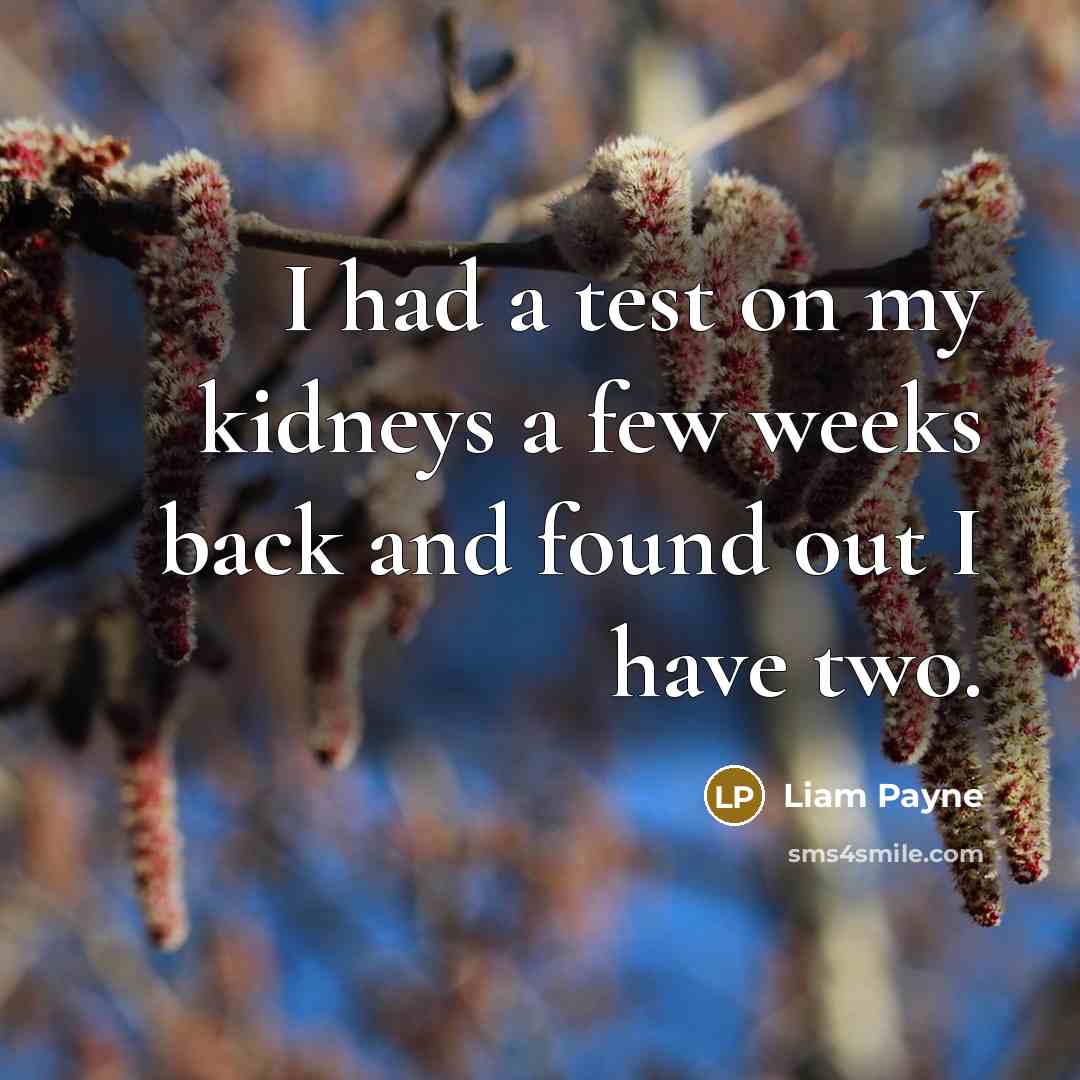 “I had a test on my kidneys a few weeks back and found out I have two.” quote by Liam Payne