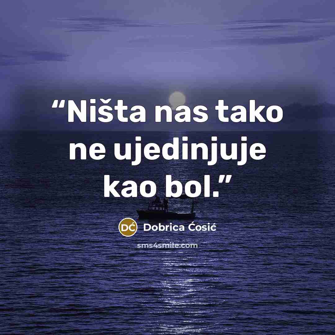 “Ništa nas tako ne ujedinjuje kao bol.” quote by Dobrica Ćosić