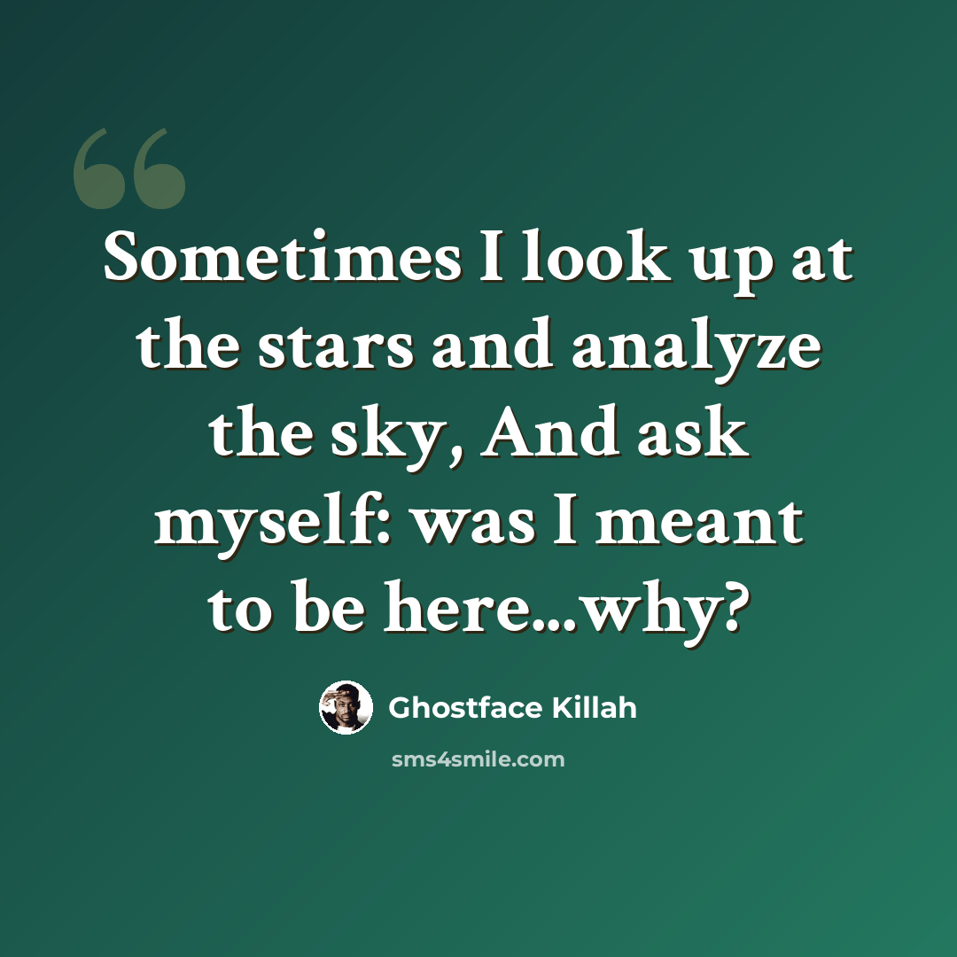 “Sometimes I look up at the stars and analyze the sky, And ask myself: was I meant to be here...why?” quote by Ghostface Killah