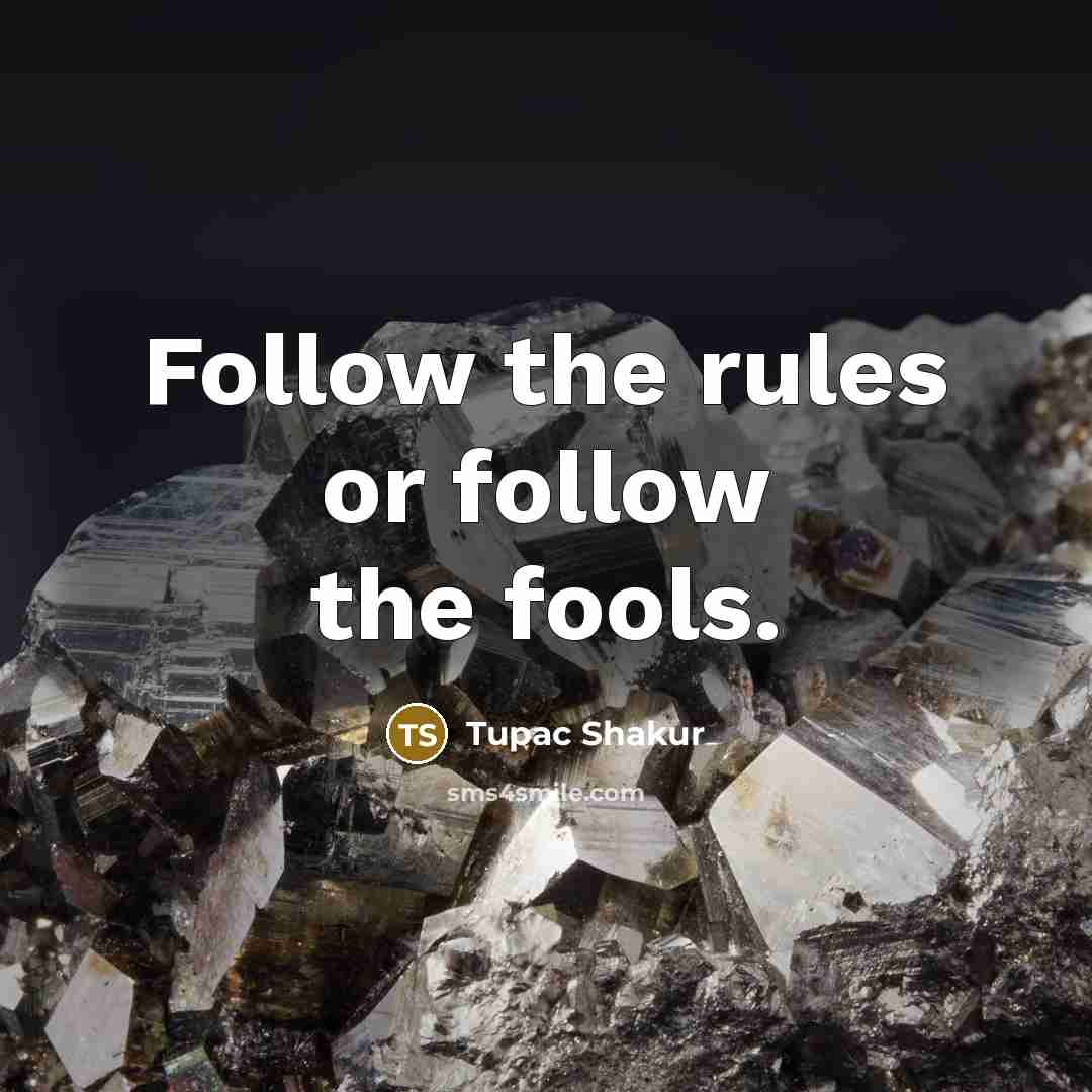 “Follow the rules or follow the fools.” quote by Tupac Shakur