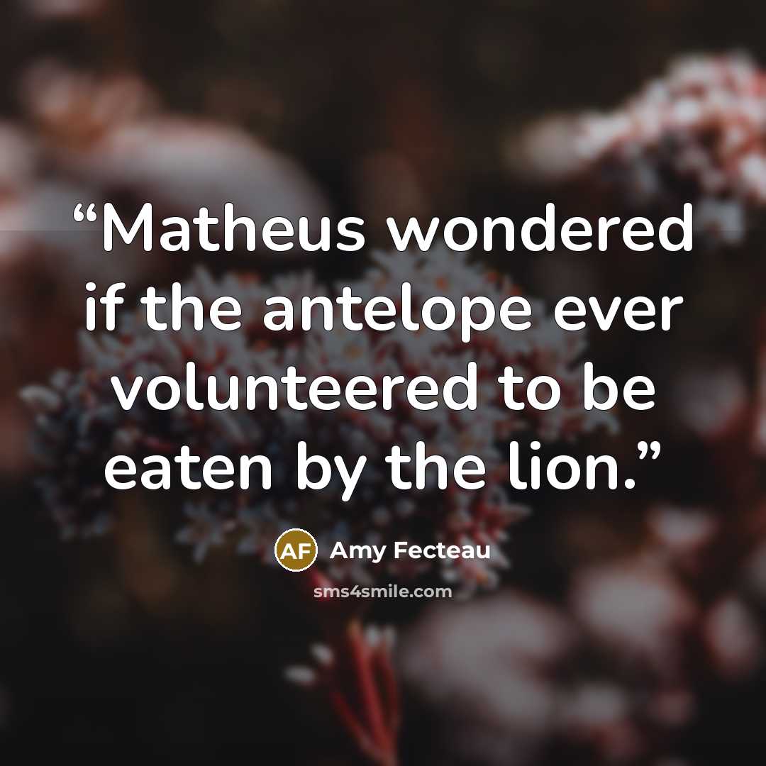 “Matheus wondered if the antelope ever volunteered to be eaten by the lion.” quote by Amy Fecteau