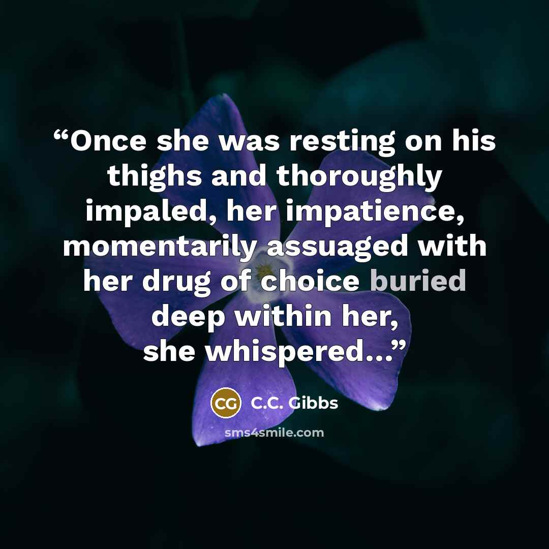 “Once she was resting on his thighs and thoroughly impaled, her impatience, momentarily assuaged with her drug of choice buried deep within her, she whispered…” quote by C.C. Gibbs
