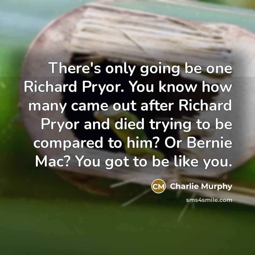 “There's only going be one Richard Pryor. You know how many came out after Richard Pryor and died trying to be compared to him? Or Bernie Mac? You got to be like you.” quote by Charlie Murphy