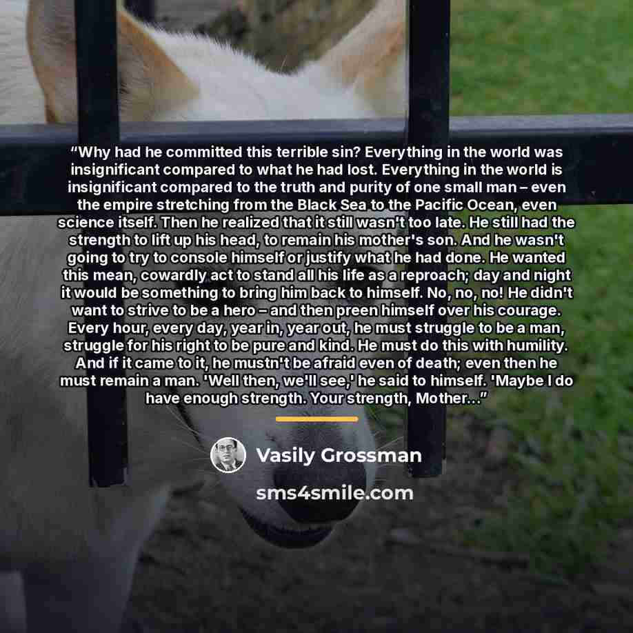 “Why had he committed this terrible sin? Everything in the world was insignificant compared to what he had lost. Everything in the world is insignificant compared to the truth and purity of one small man – even the empire stretching from the Black Sea to the Pacific Ocean, even science itself. Then…” quote by Vasily Grossman