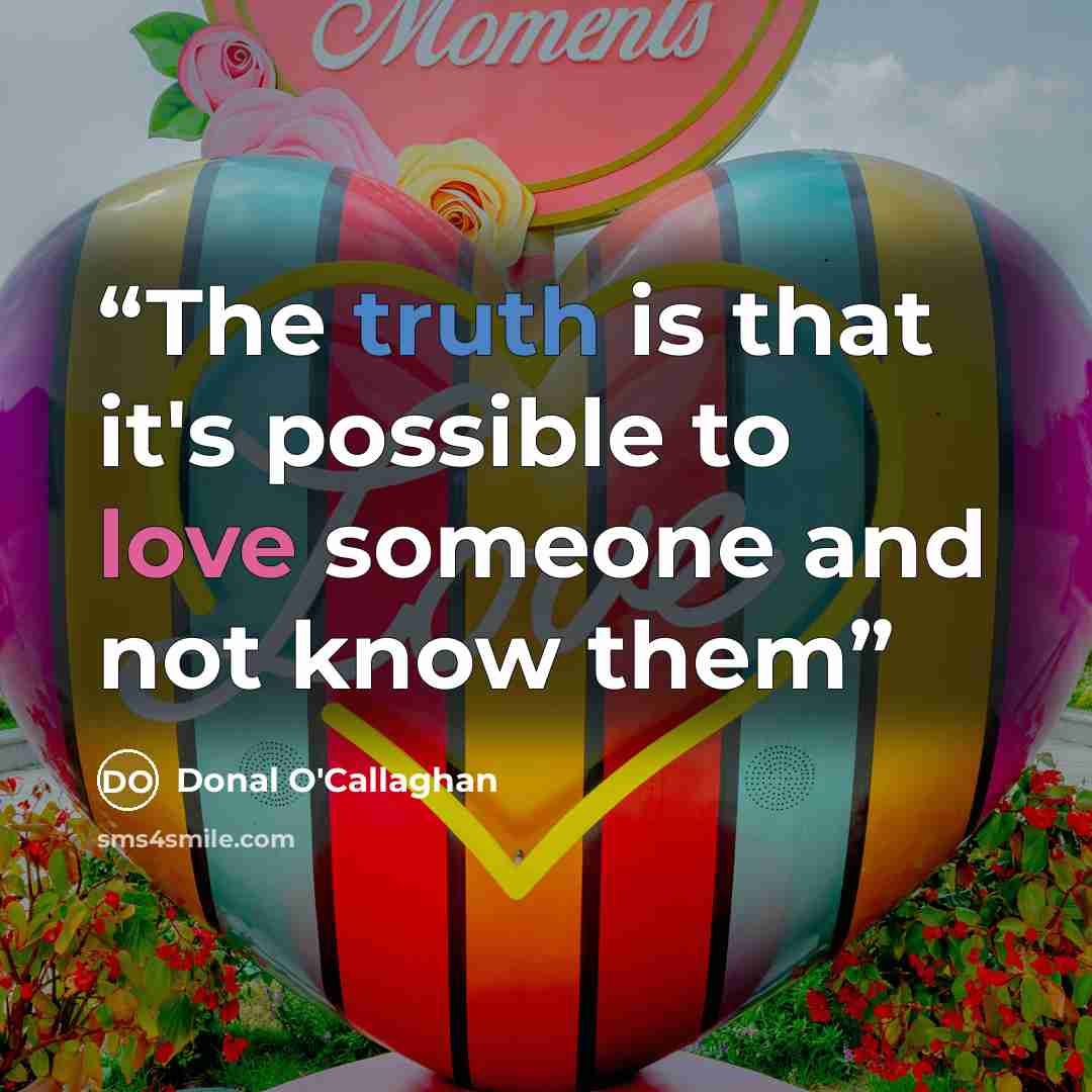 “The truth is that it's possible to love someone and not know them” quote by Donal O'Callaghan