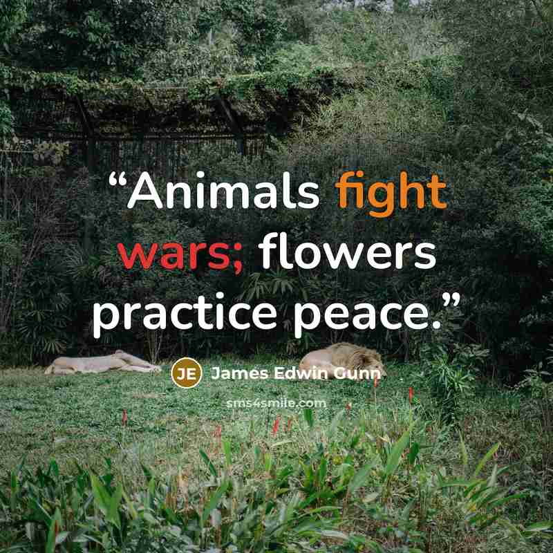 “Animals fight wars; flowers practice peace.” quote by James Edwin Gunn