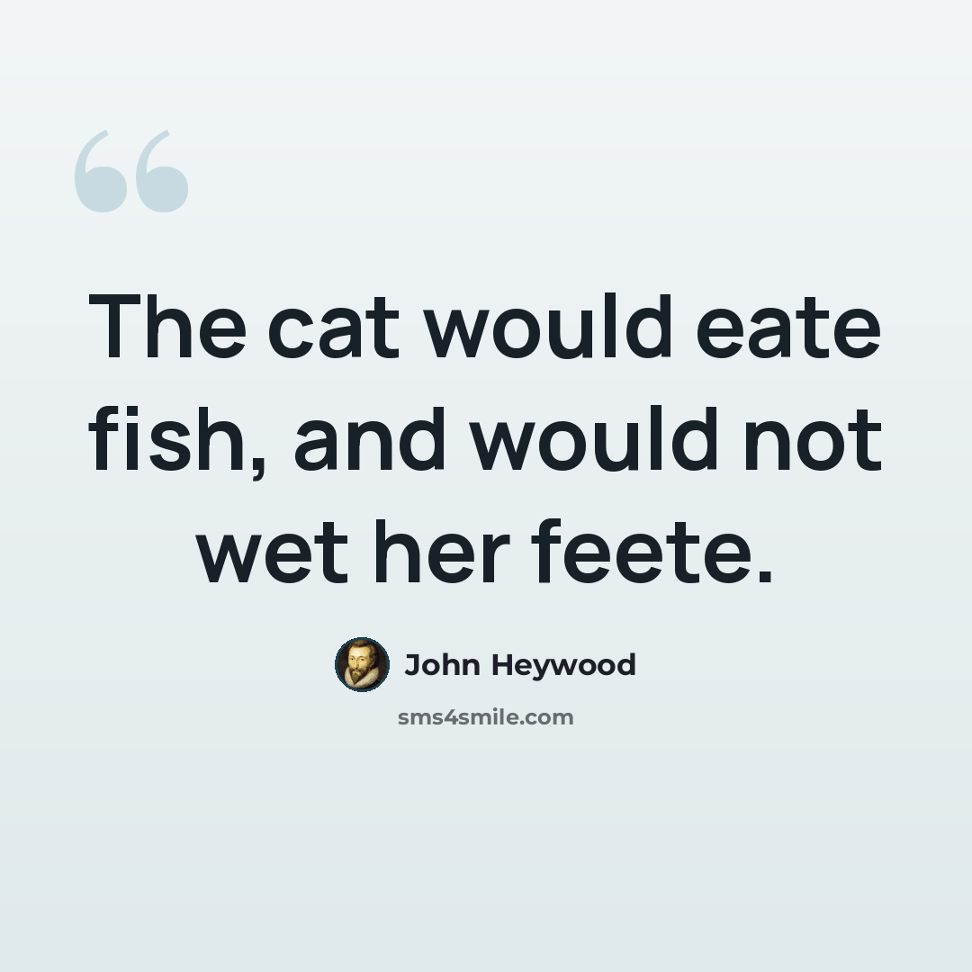 “The cat would eate fish, and would not wet her feete.” quote by John Heywood