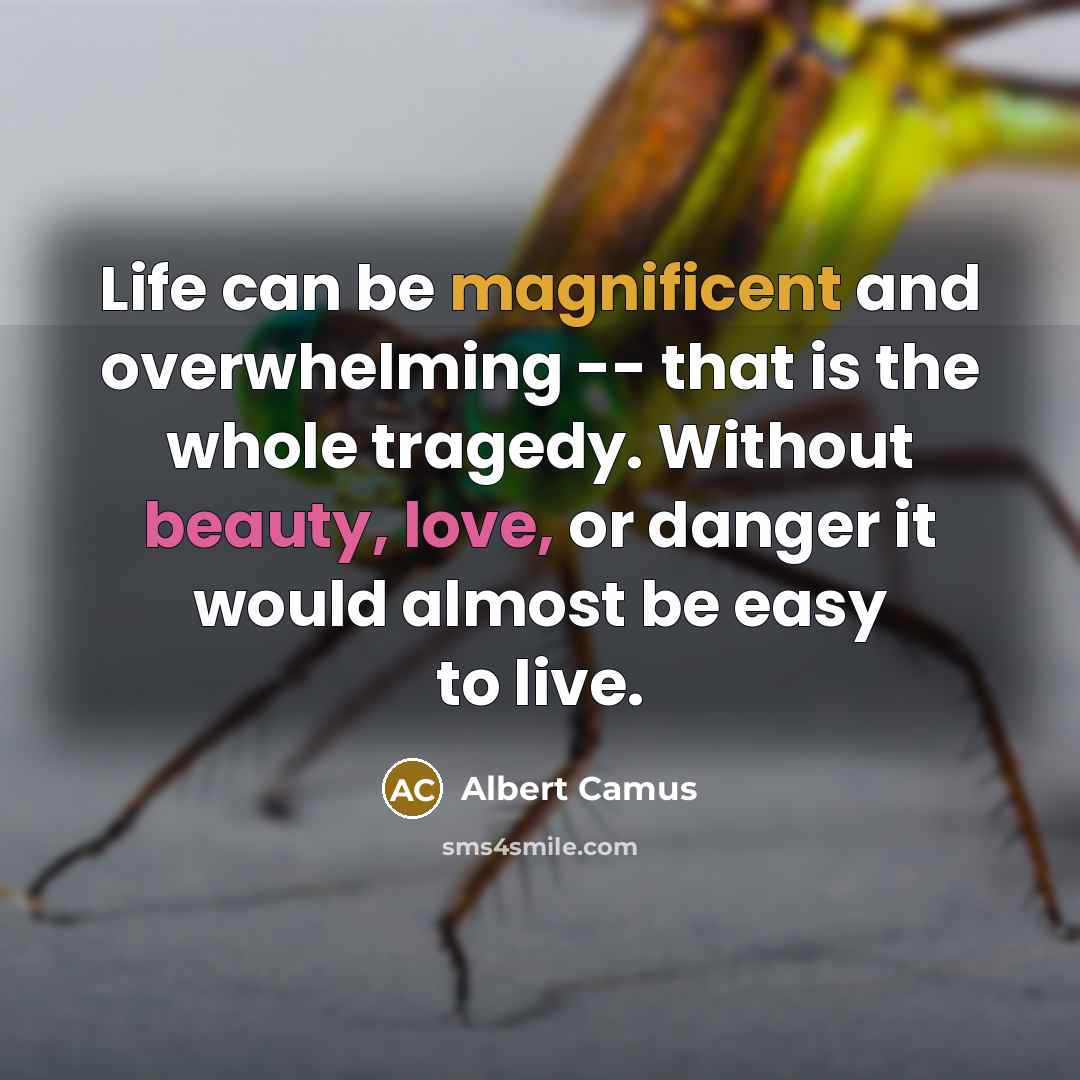 “Life can be magnificent and overwhelming -- that is the whole tragedy. Without beauty, love, or danger it would almost be easy to live.” quote by Albert Camus