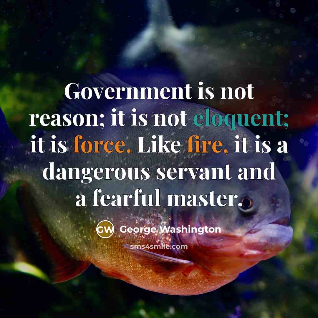 “Government is not reason; it is not eloquent; it is force. Like fire, it is a dangerous servant and a fearful master.” quote by George Washington