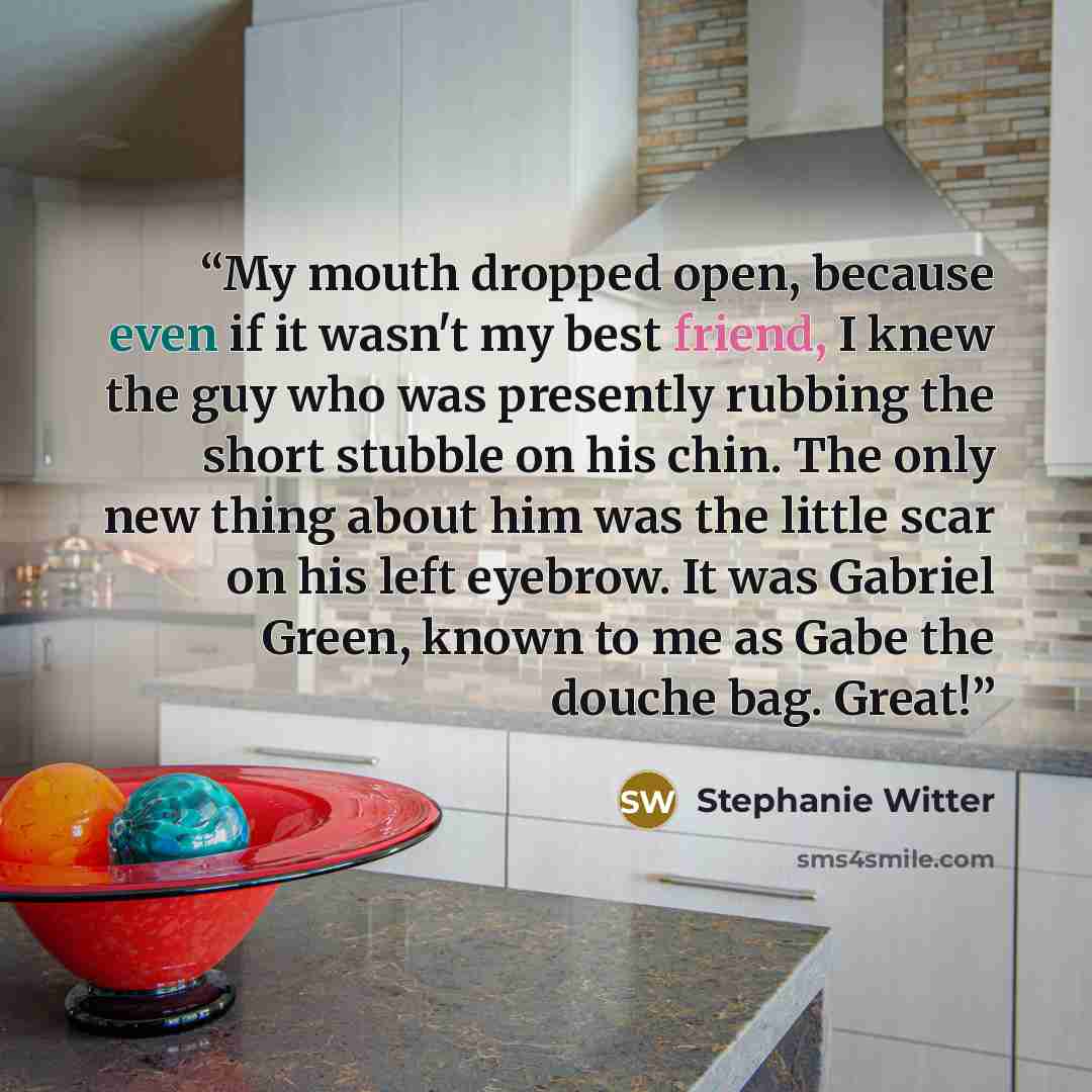 “My mouth dropped open, because even if it wasn't my best friend, I knew the guy who was presently rubbing the short stubble on his chin. The only new thing about him was the little scar on his left eyebrow. It was Gabriel Green, known to me as Gabe the douche bag. Great!” quote by Stephanie Witter