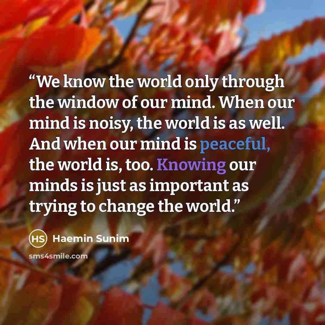 “We know the world only through the window of our mind. When our mind is noisy, the world is as well. And when our mind is peaceful, the world is, too. Knowing our minds is just as important as trying to change the world.” quote by Haemin Sunim
