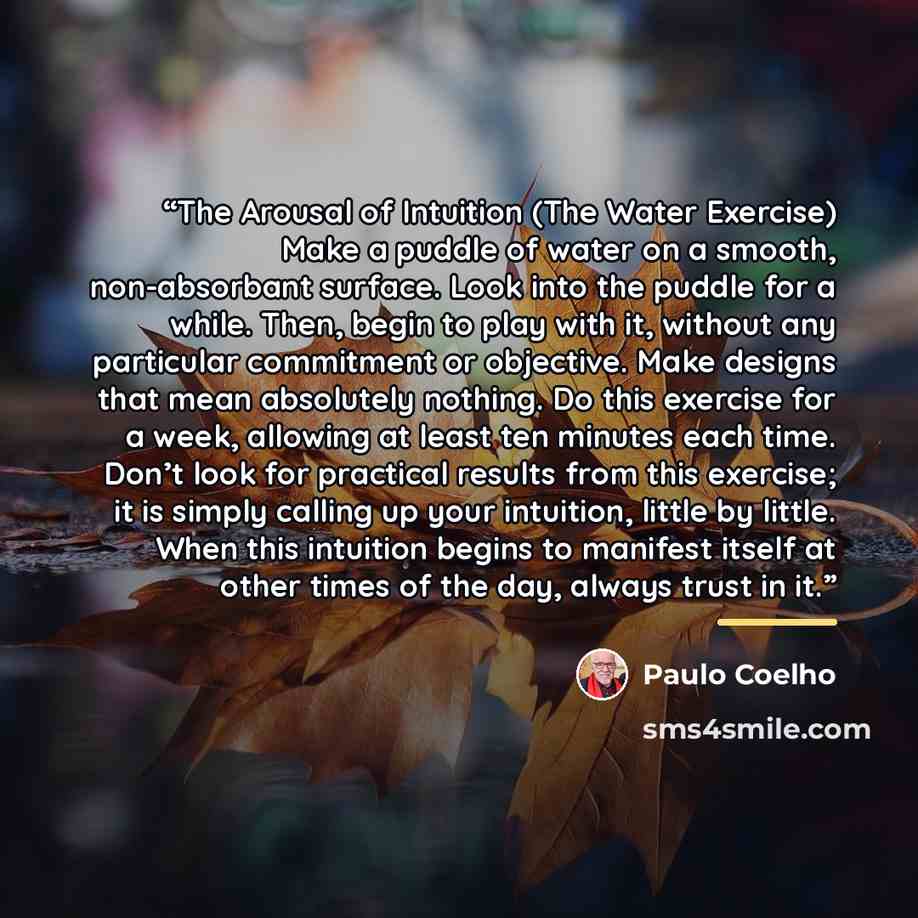 “The Arousal of Intuition (The Water Exercise) Make a puddle of water on a smooth, non-absorbant surface. Look into the puddle for a while. Then, begin to play with it, without any particular commitment or objective. Make designs that mean absolutely nothing. Do this exercise for a week, allowing…” quote by Paulo Coelho