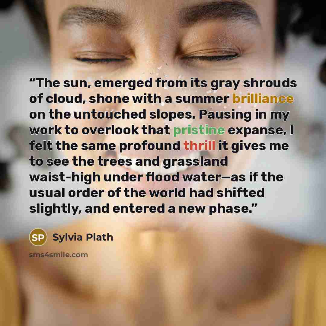 “The sun, emerged from its gray shrouds of cloud, shone with a summer brilliance on the untouched slopes. Pausing in my work to overlook that pristine expanse, I felt the same profound thrill it gives me to see the trees and grassland waist-high under flood water—as if the usual order of the world…” quote by Sylvia Plath
