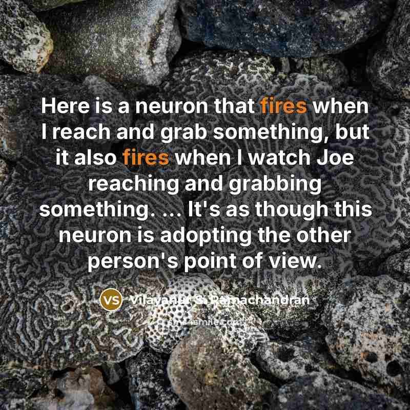 “Here is a neuron that fires when I reach and grab something, but it also fires when I watch Joe reaching and grabbing something. ... It's as though this neuron is adopting the other person's point of view.” quote by Vilayanur S. Ramachandran
