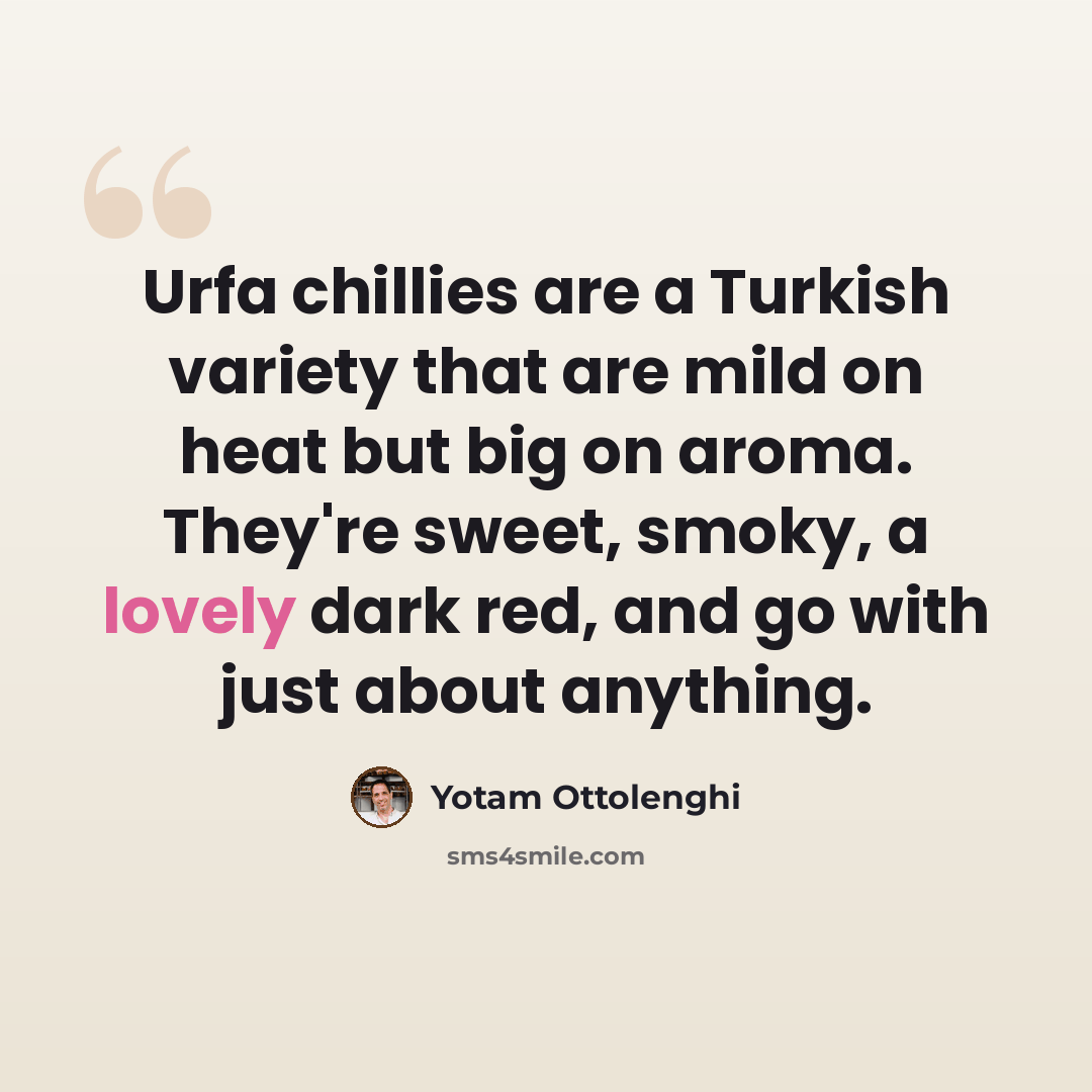 “Urfa chillies are a Turkish variety that are mild on heat but big on aroma. They're sweet, smoky, a lovely dark red, and go with just about anything.” quote by Yotam Ottolenghi