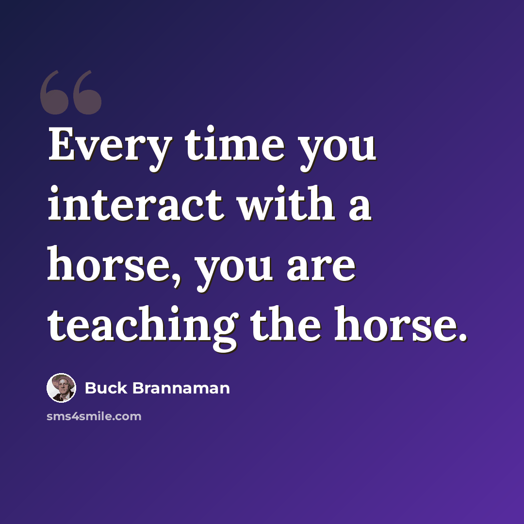 “Every time you interact with a horse, you are teaching the horse.” quote by Buck Brannaman