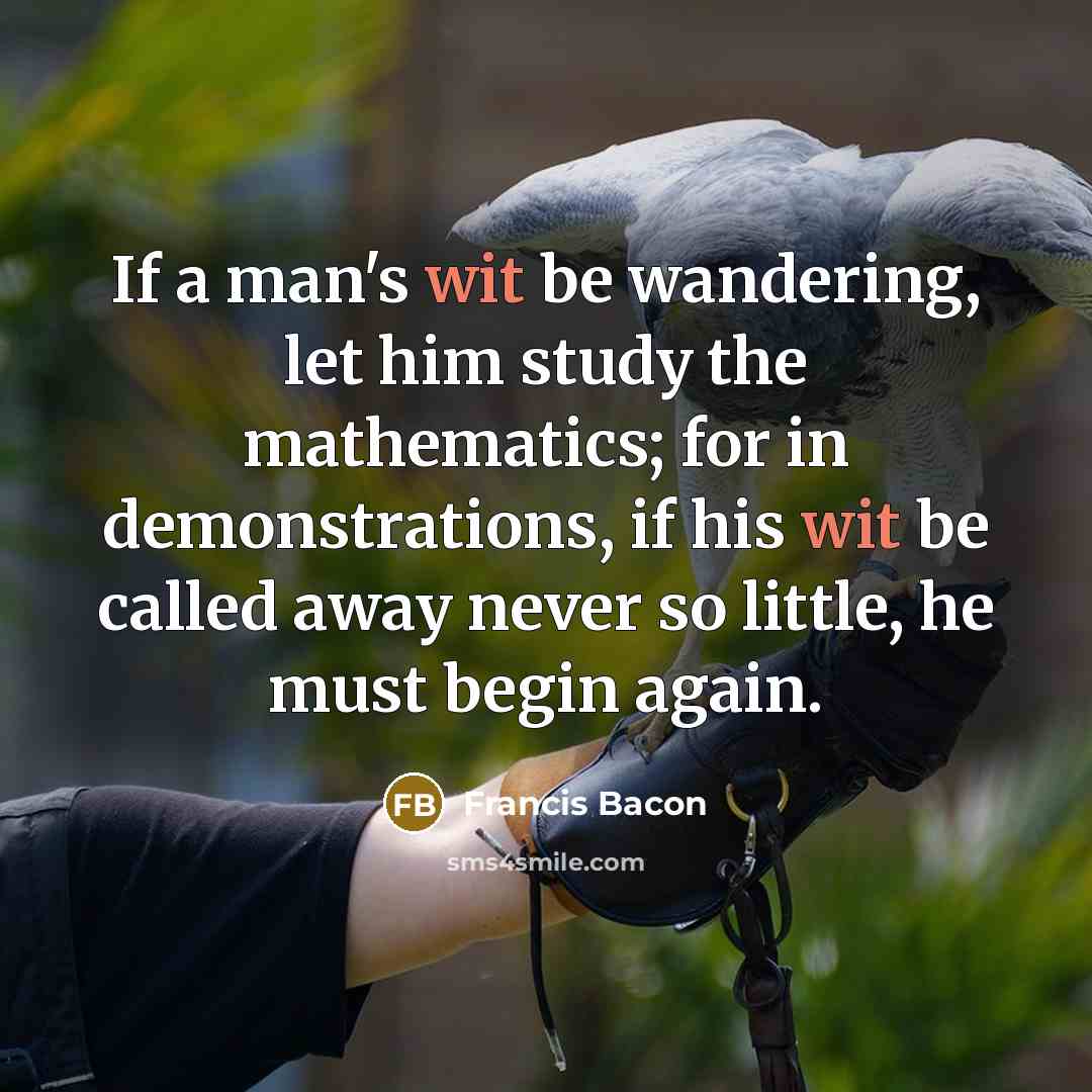 “If a man's wit be wandering, let him study the mathematics; for in demonstrations, if his wit be called away never so little, he must begin again.” quote by Francis Bacon