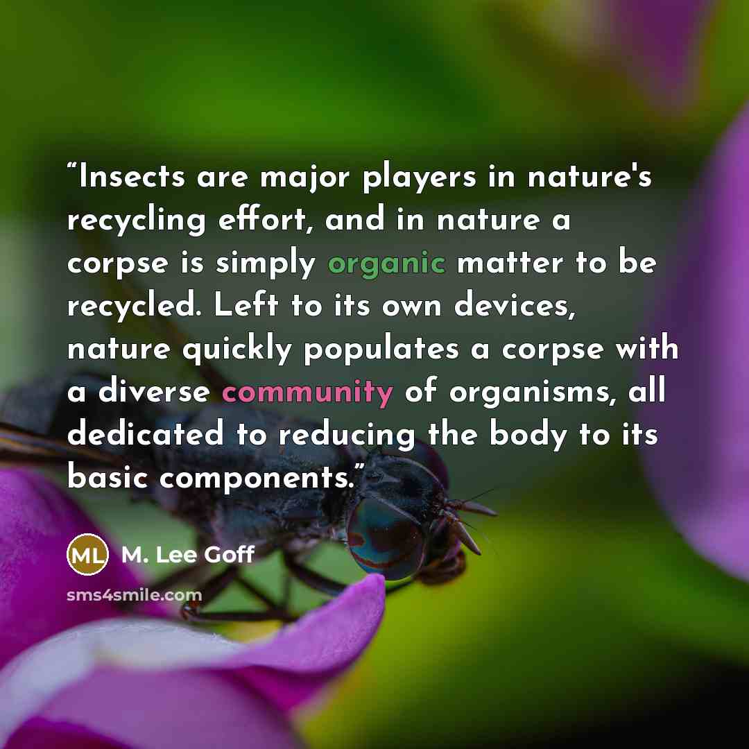 “Insects are major players in nature's recycling effort, and in nature a corpse is simply organic matter to be recycled. Left to its own devices, nature quickly populates a corpse with a diverse community of organisms, all dedicated to reducing the body to its basic components.” quote by M. Lee Goff
