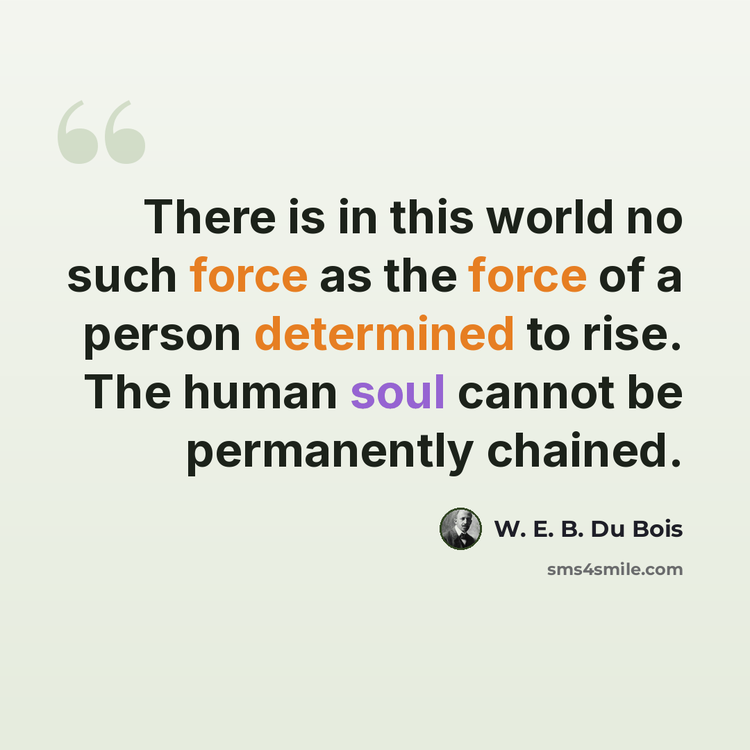 “There is in this world no such force as the force of a person determined to rise. The human soul cannot be permanently chained.” quote by W. E. B. Du Bois
