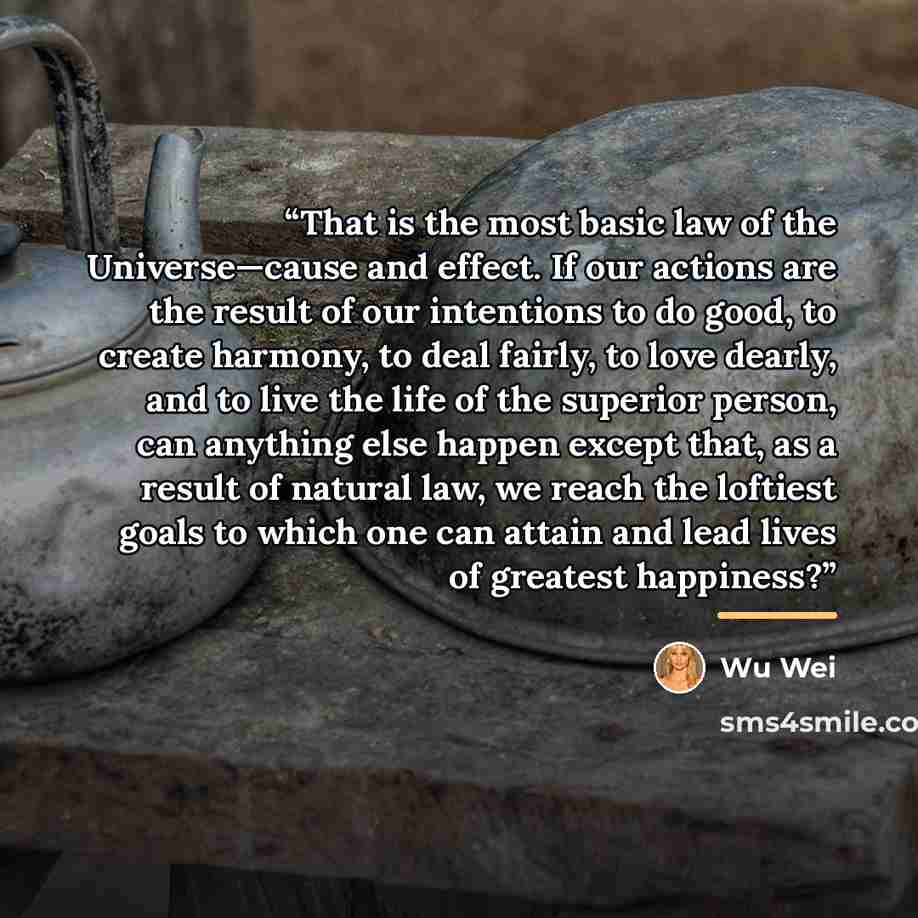 “That is the most basic law of the Universe—cause and effect. If our actions are the result of our intentions to do good, to create harmony, to deal fairly, to love dearly, and to live the life of the superior person, can anything else happen except that, as a result of natural law, we reach the…” quote by Wu Wei